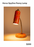 Horus x SpyOne Peony Desk Lamp | Upcycled Spray Can Art | Custom Color Desk Light